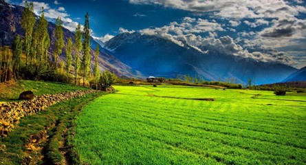 yatra Image